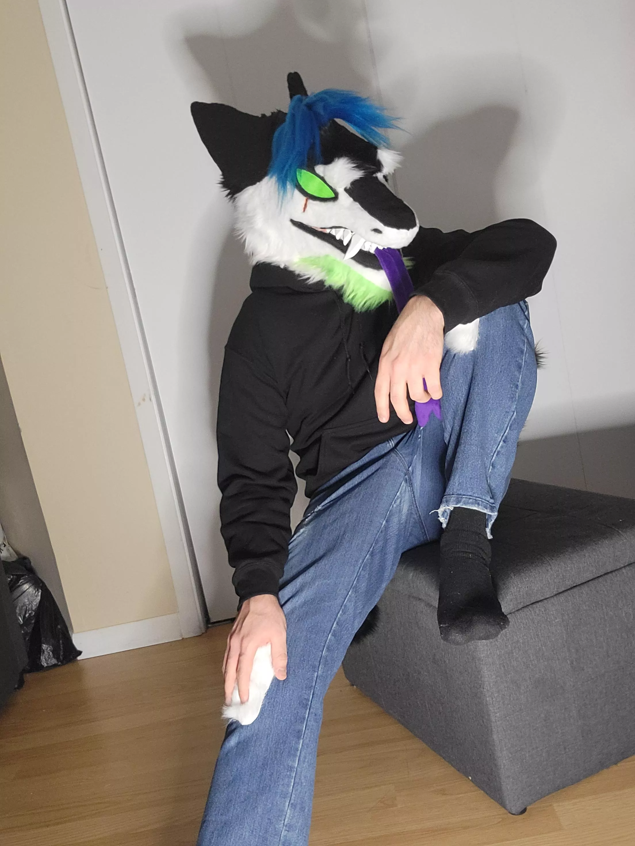 Just a WereSergal Vibing