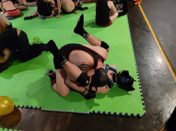 Just doing dog things! 🐺😇