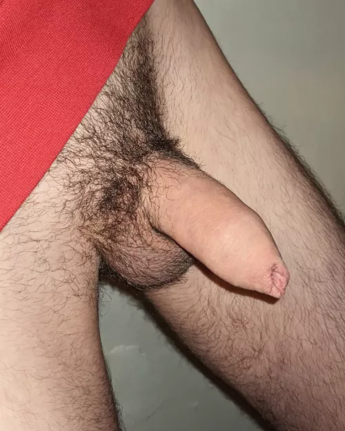 Just felt like posting something