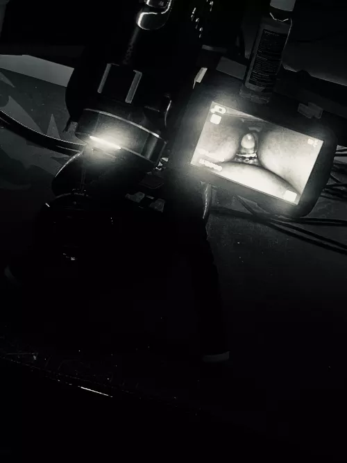 Lights camera action