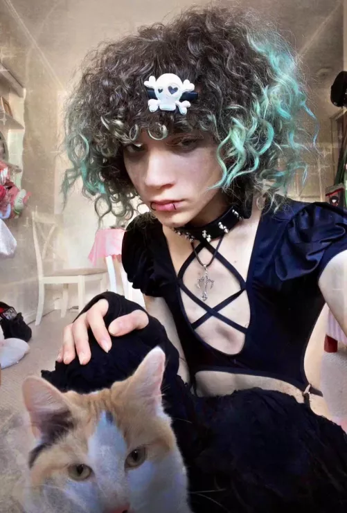 ^. .^ meow say it back pls