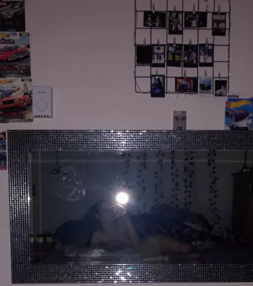 Mirror mirror on the wall… which Reddit boy should I call