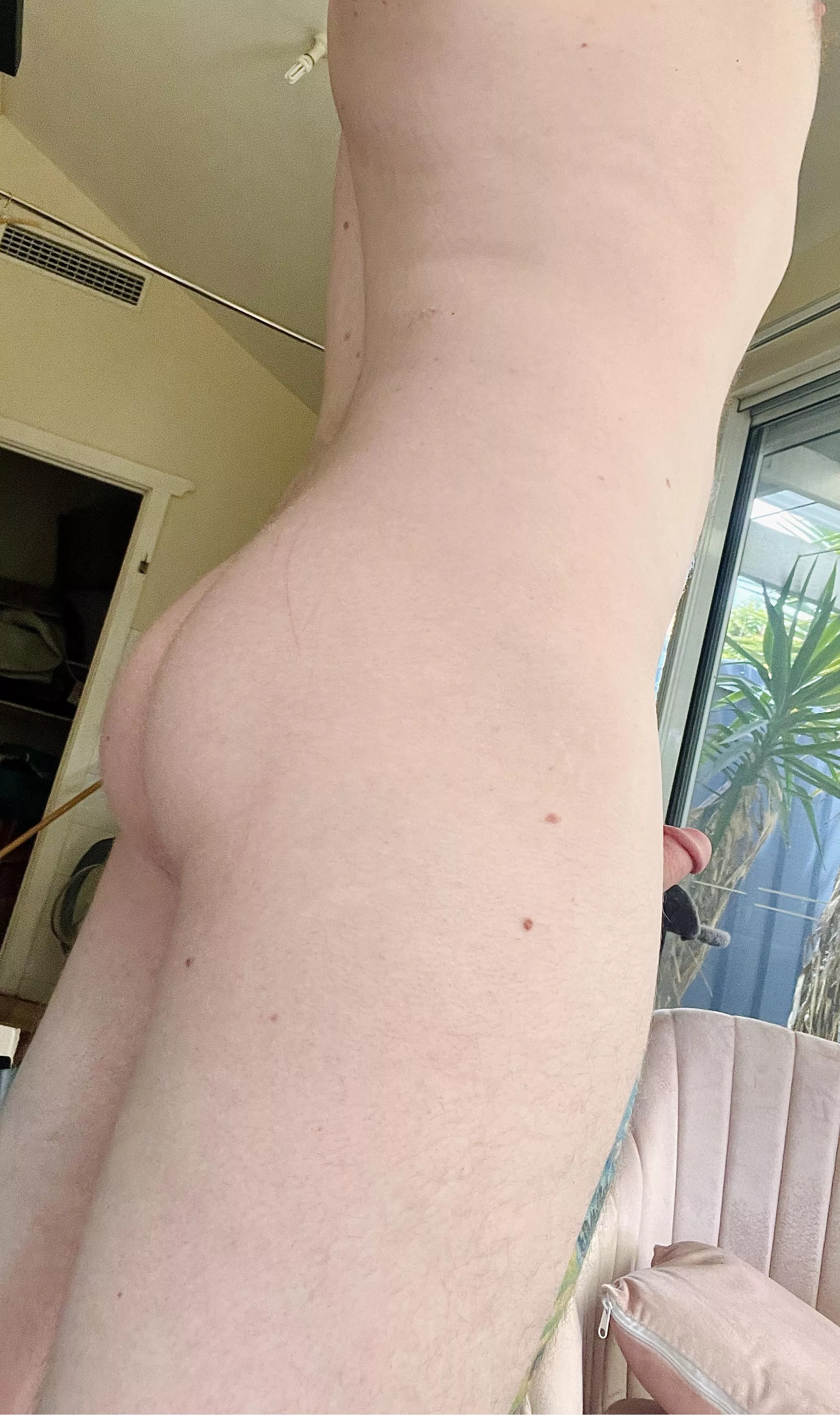 My first post flopped, redemption booty?