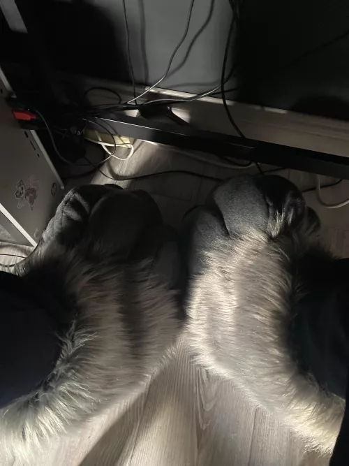 My fursuit is here, but the feetpaws are too big. What can I do to secure them on my foot better?