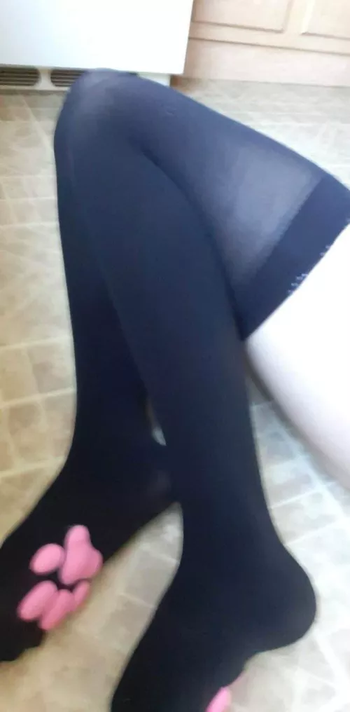 My new cat toe beans thigh highs