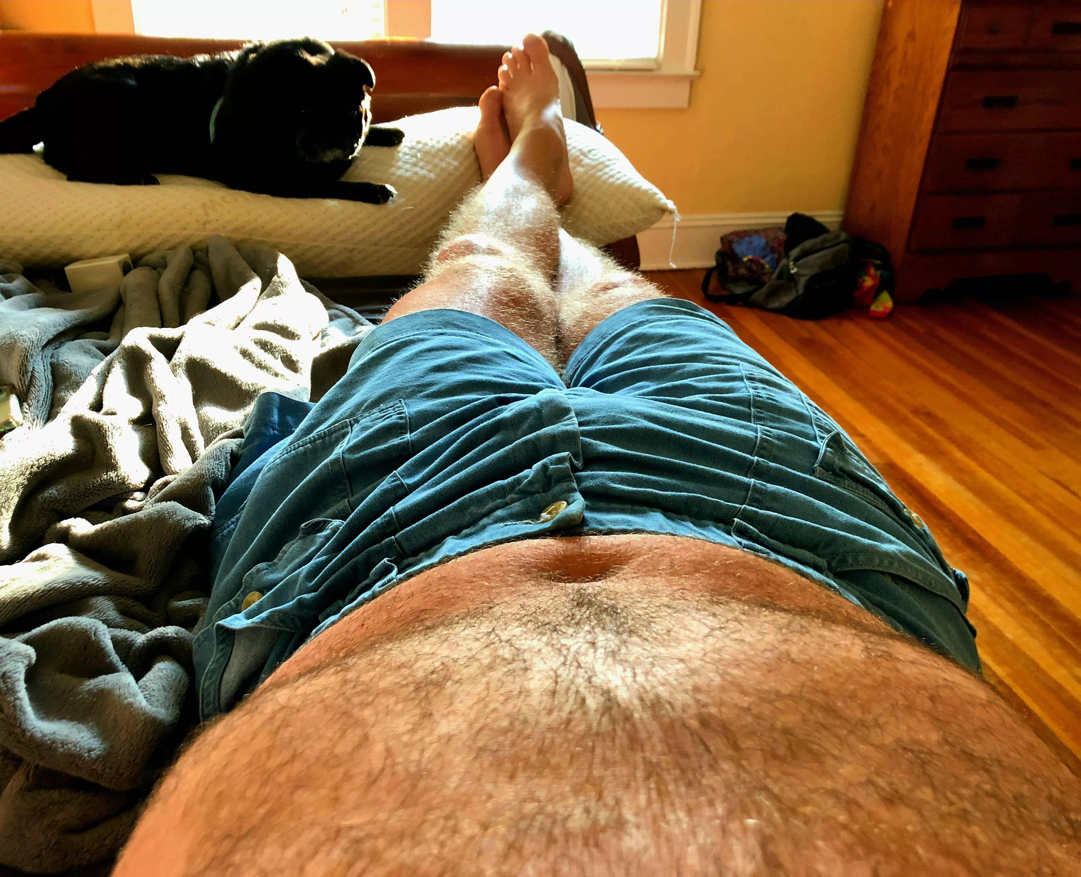 Please remove these shorts. The dog can't do it.