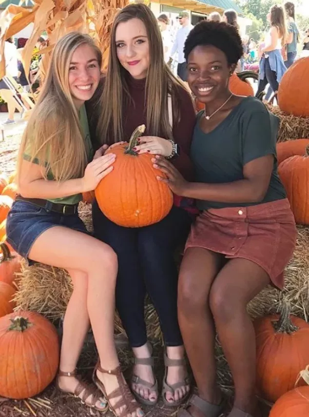 Pumpkins