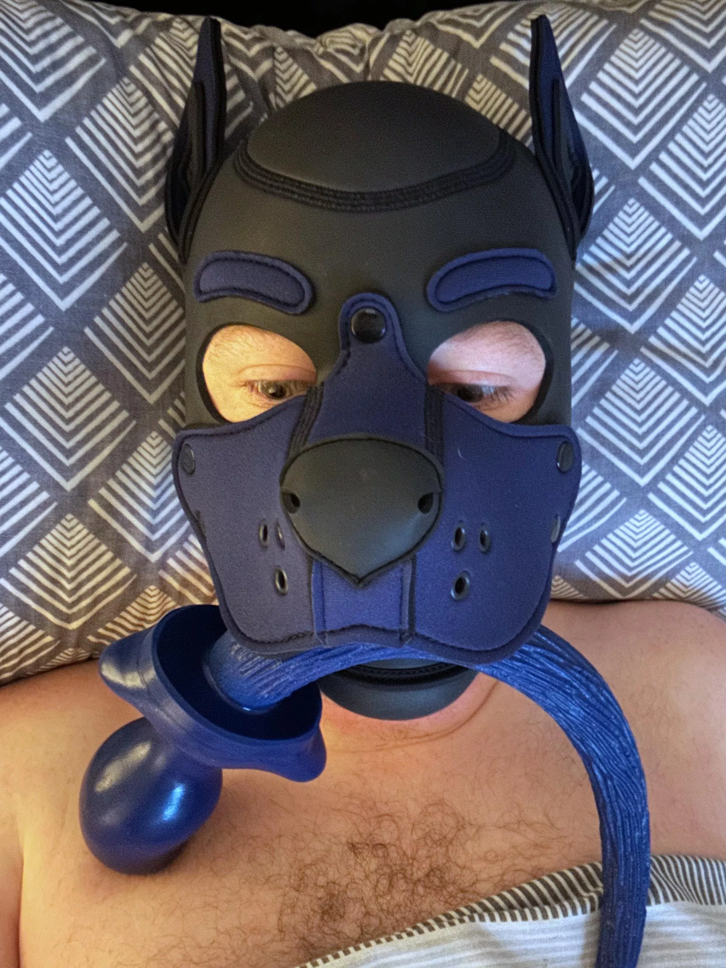 Pups got plans today 💙