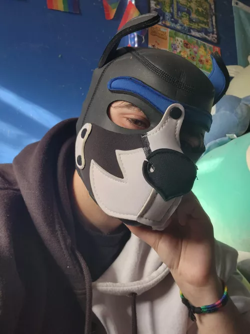 Rruff!! Pup is ready to play this weekend!! 🐾