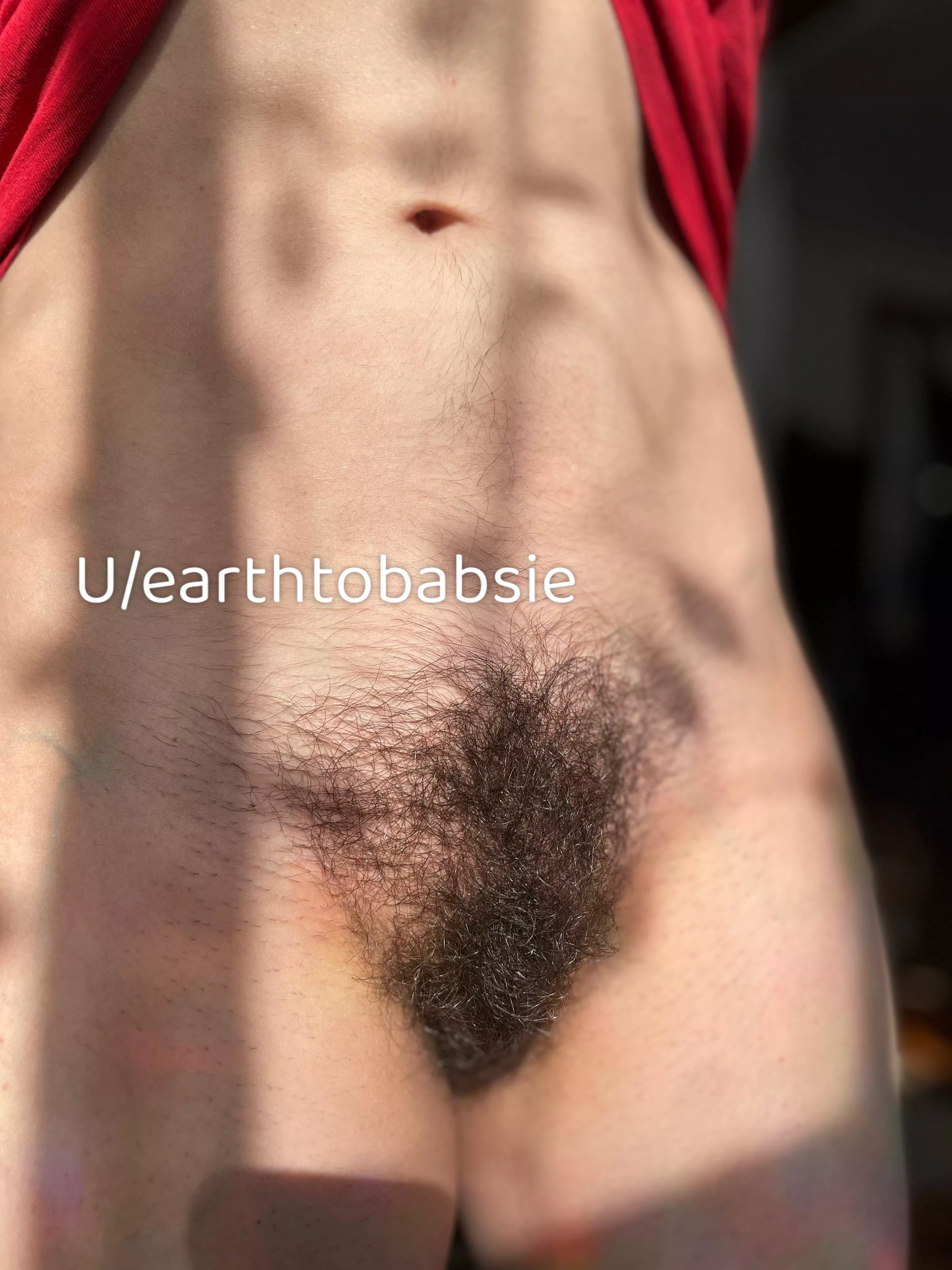 Take a wander through my lush forest 🌳