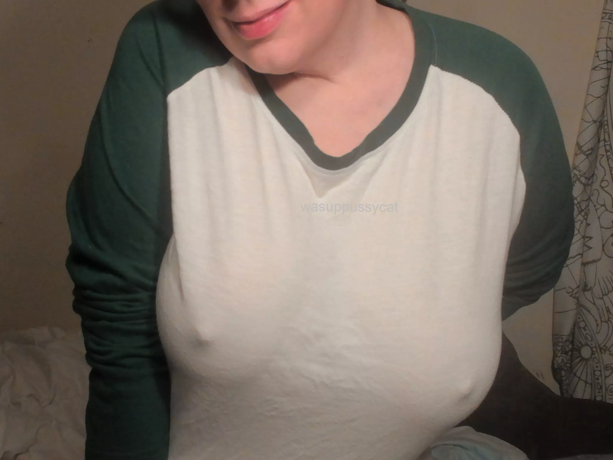 The cat stole my bra!