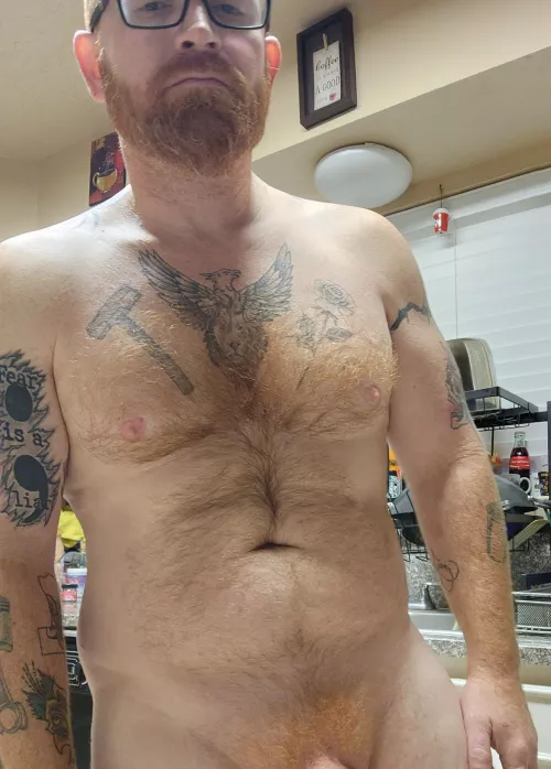 Wanna touch my ginger fur?