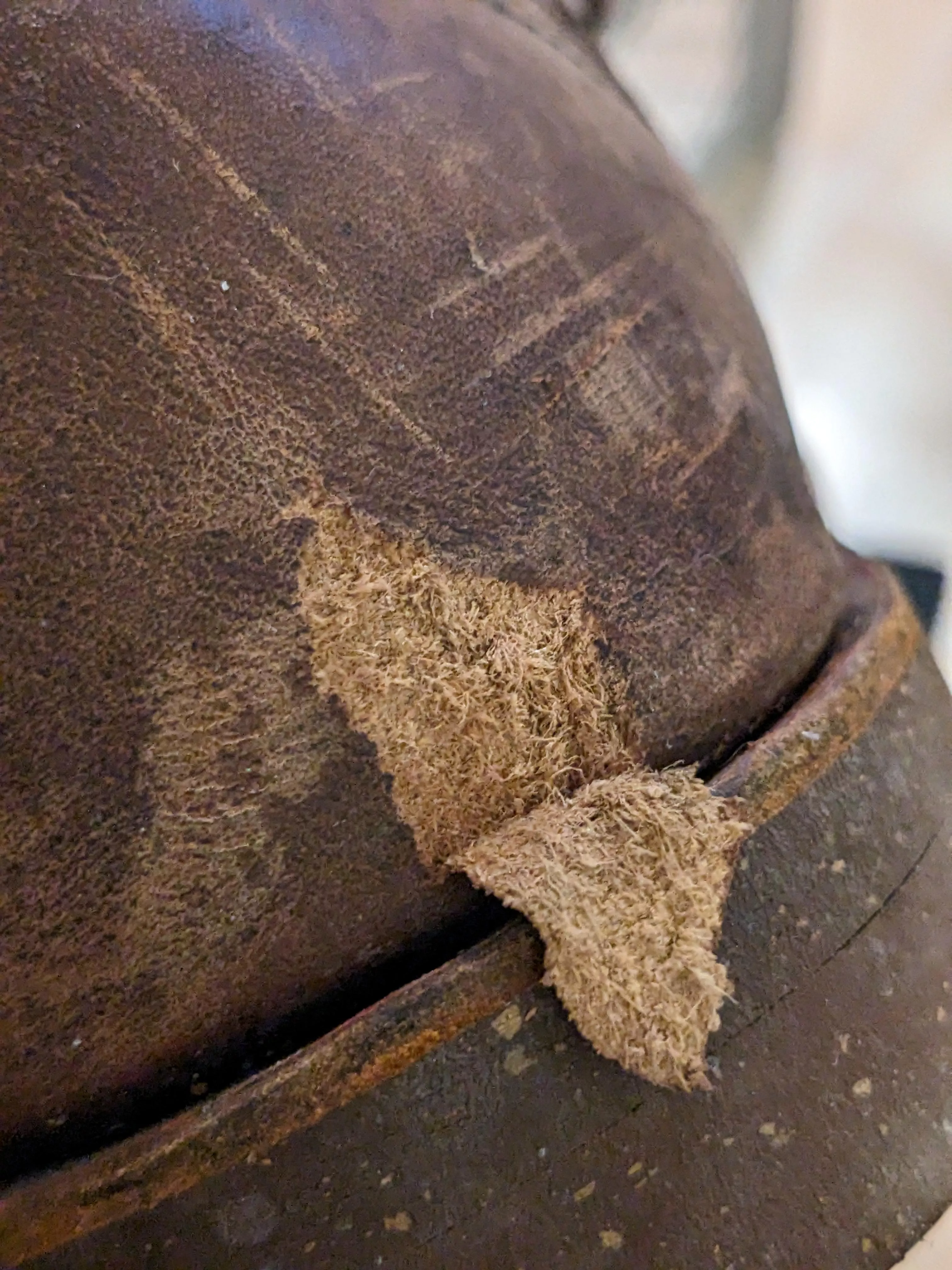 Welp....what do I do now? (Red Wing Iron Rangers)