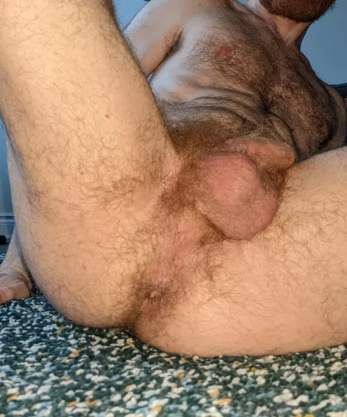 Where isn't there hair? Wanna explore and find out?