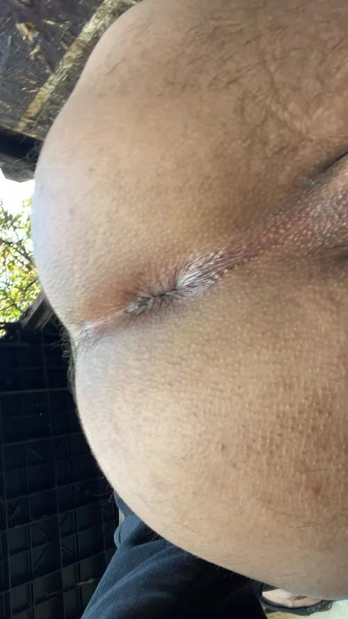 Who wants this wild boy ? (; (24)