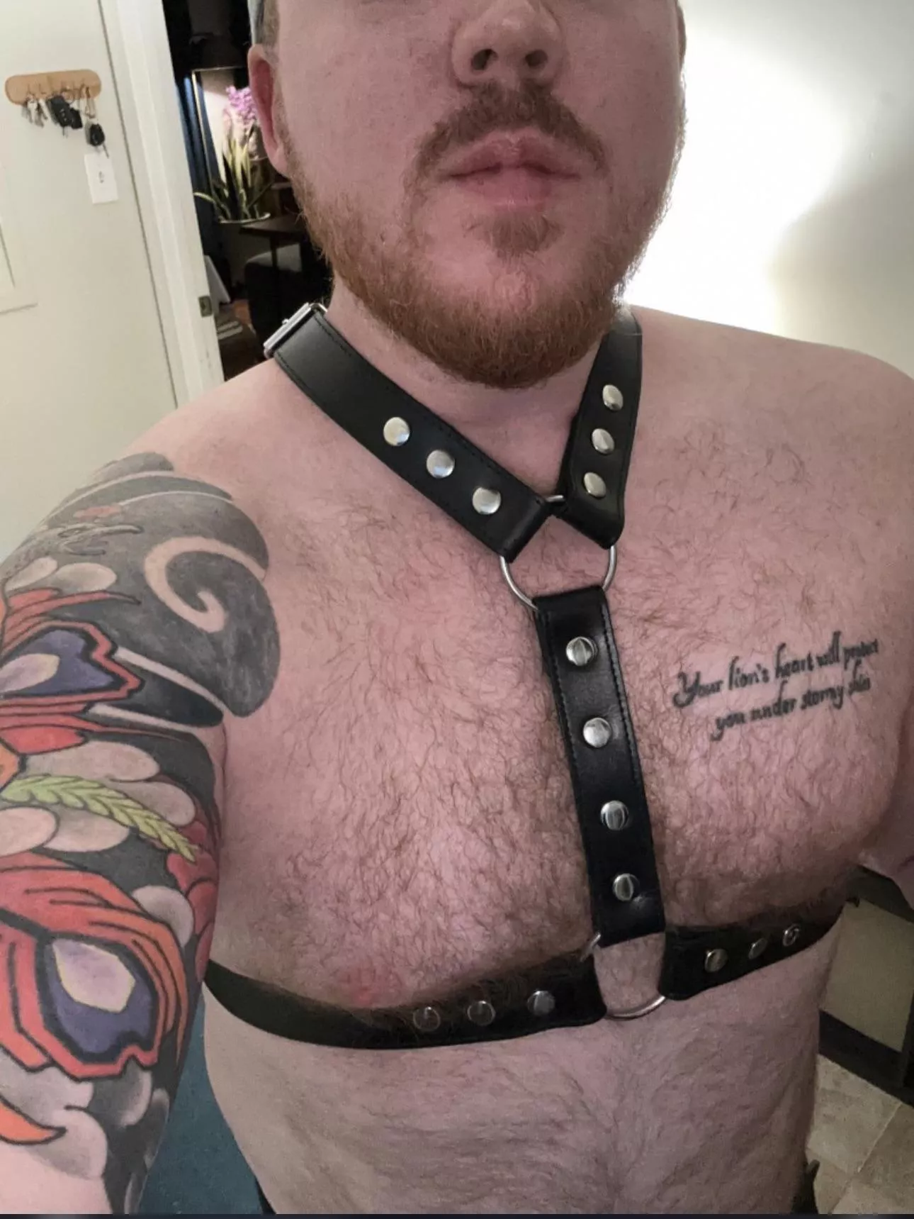 Who wants to hold onto daddy’s harness while I’m pounding your hole?