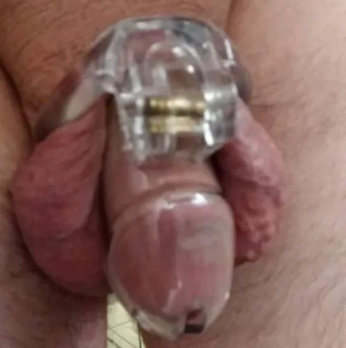 Wife says I don't fill this cage anymore, agree or disagree?