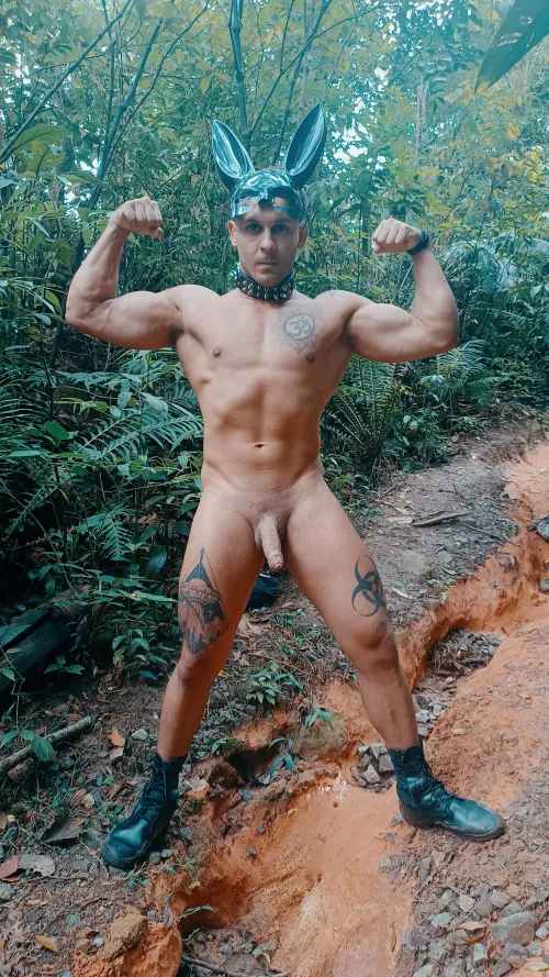 🐇🐇🐇🐇🐇🐇