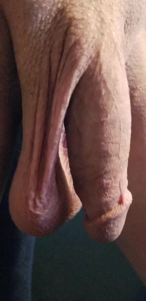 [60] Hey girls, want to play with daddy's cock?