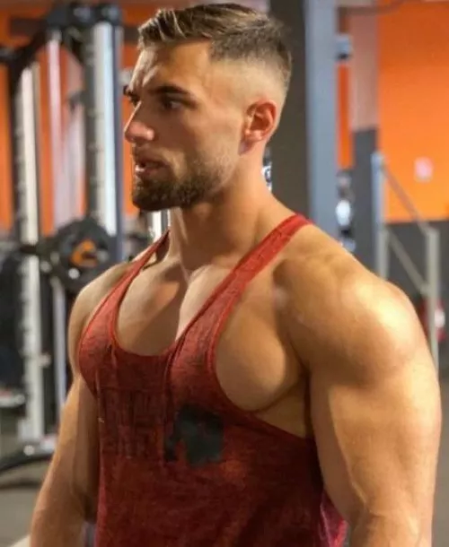 “Amadey Serebrov” …