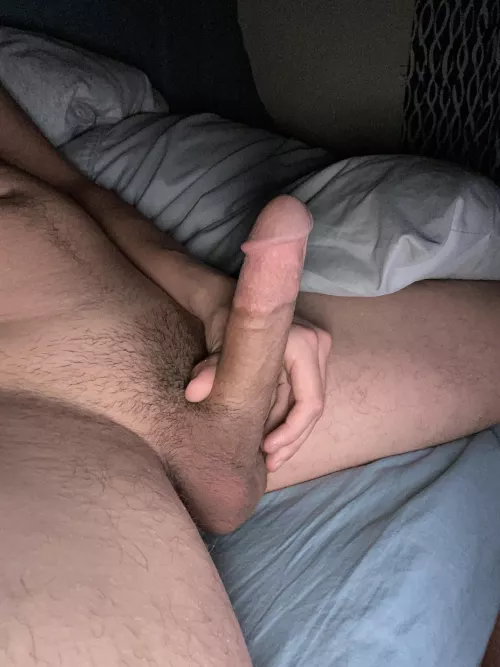 Any NY cucks in need of a younger bull?