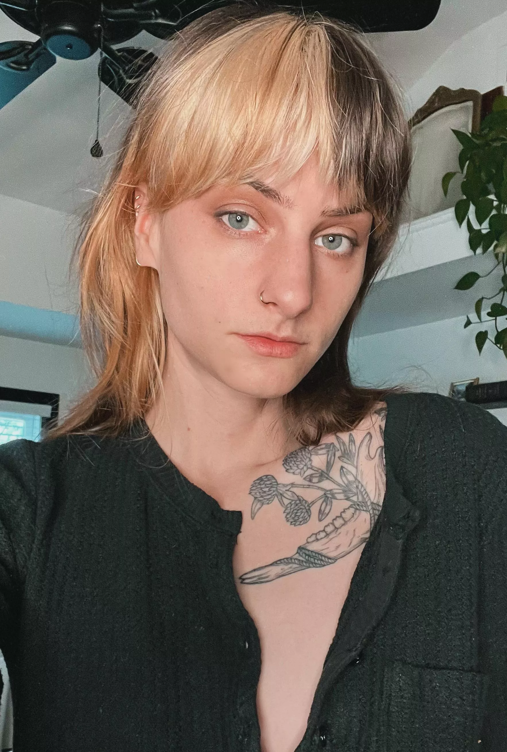 Brown or blonde, why not both