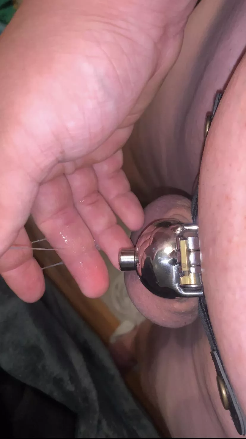 Exactly leaky today. Locked 4 years and 170 days