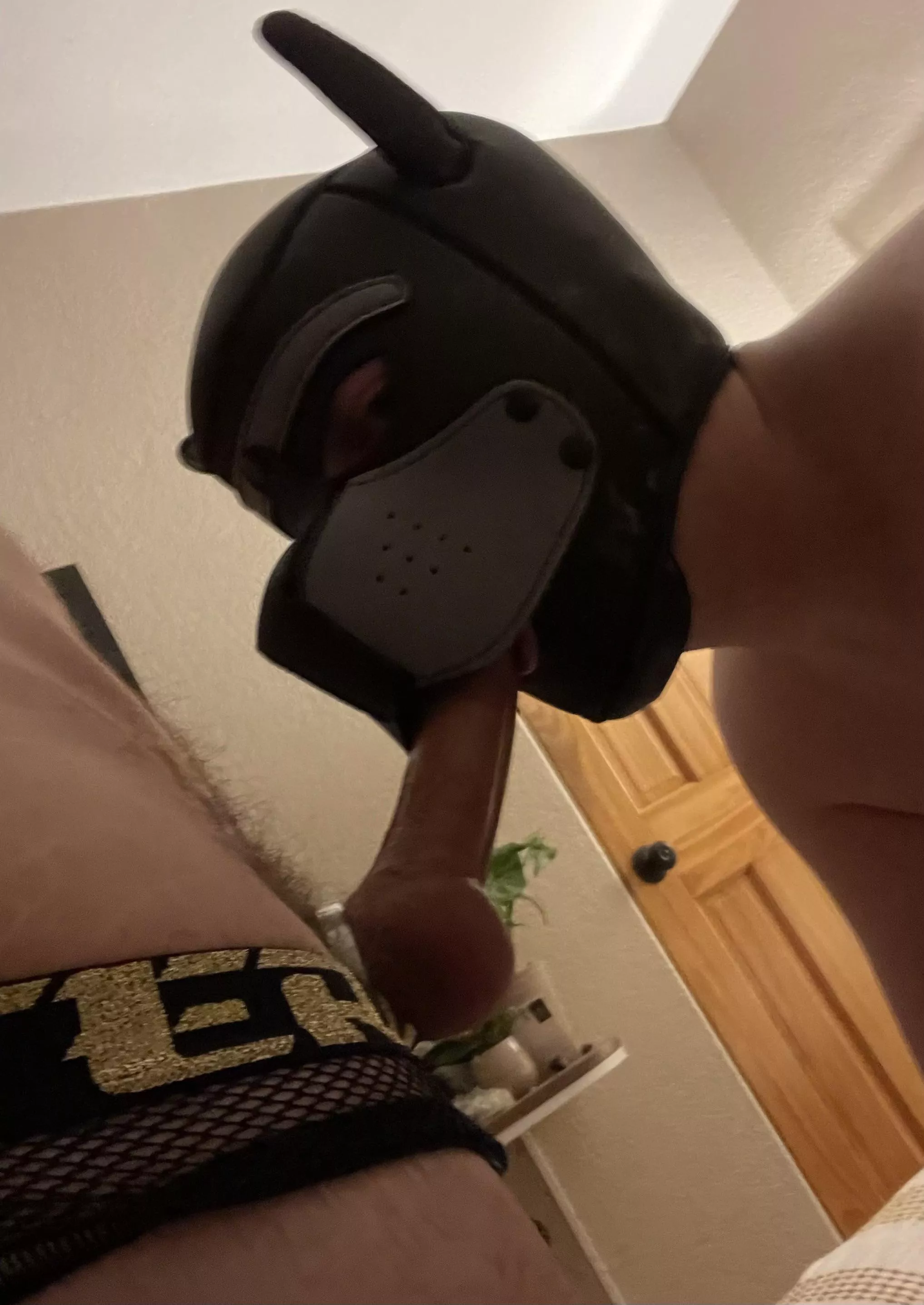 Found a bone 🦴 🐶