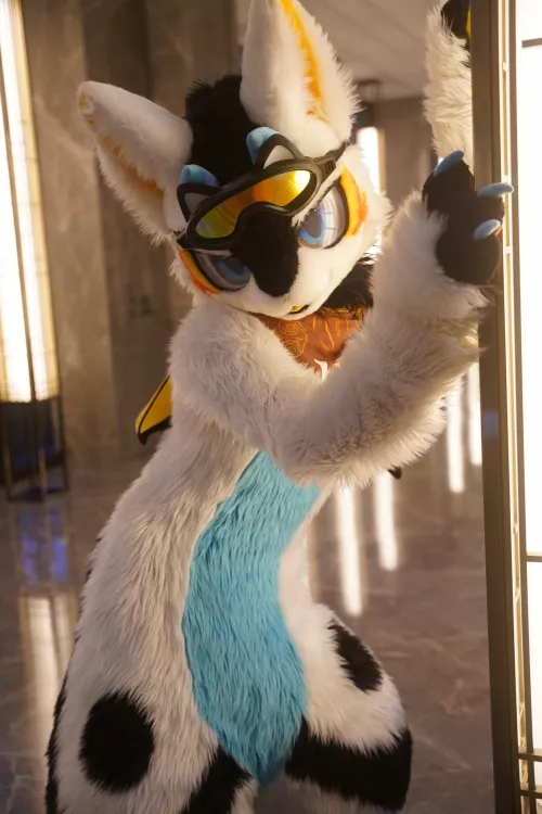 @Fructose_c on Twitter says Hey～