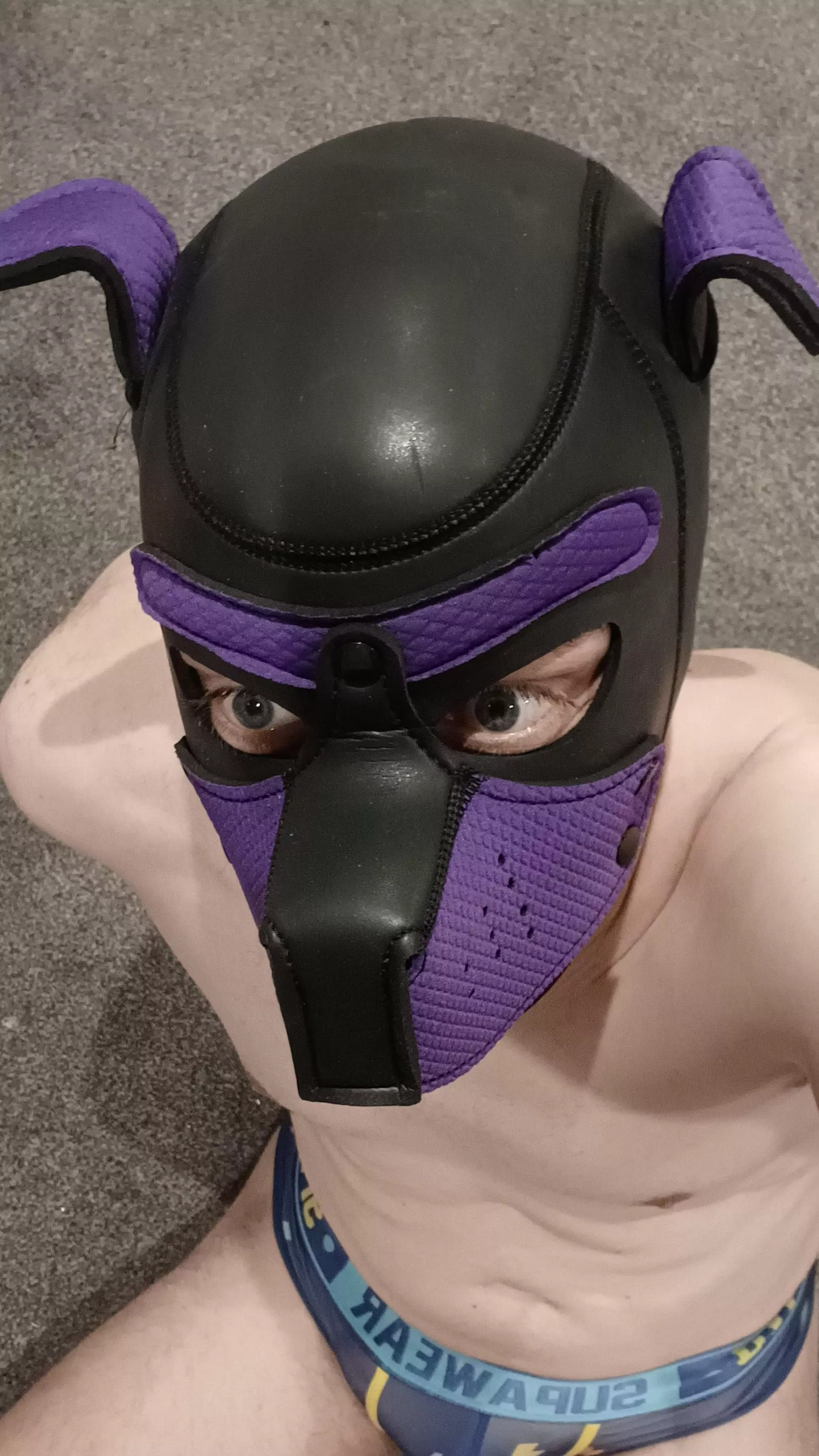 Happy Weekend, pups 🐶