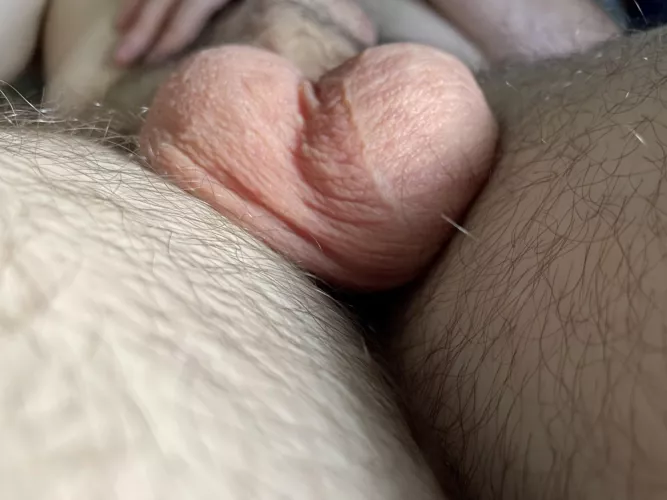 Heart shaped 🤣 would anyone find it funny to punch them? Pm me 😂