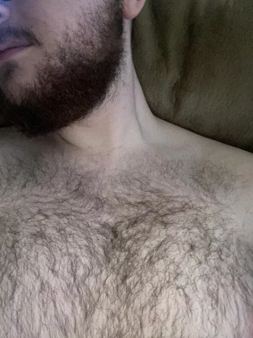 I created a new subreddit r/hairyandbearded! Post your amazing chest hair and beards over there as well and get the community started!