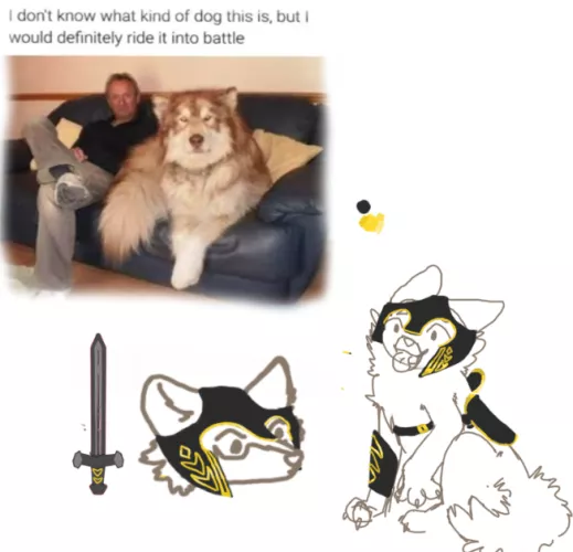 is there a better place to put this?? anyway battle dog by mee