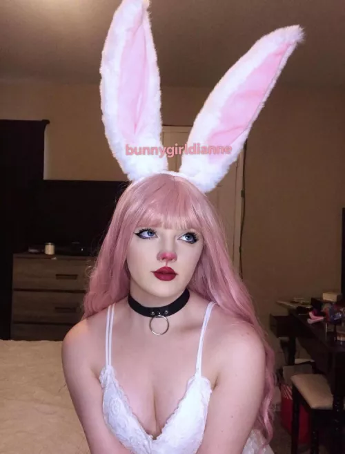 Let me be your cute little bunny