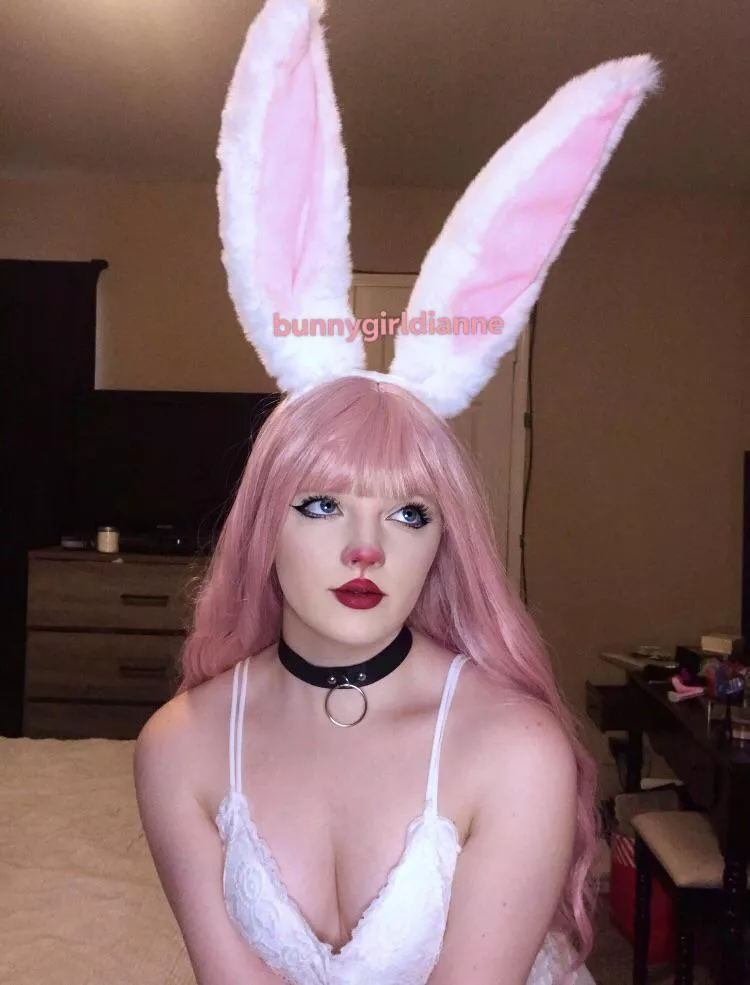 Let me be your cute little bunny