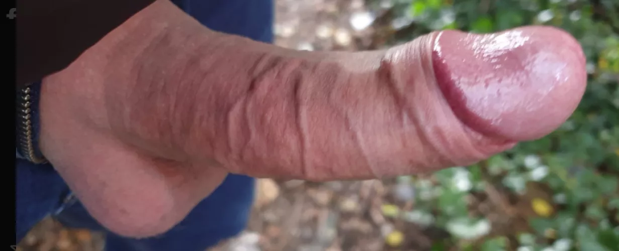 Love a little fun on the trail