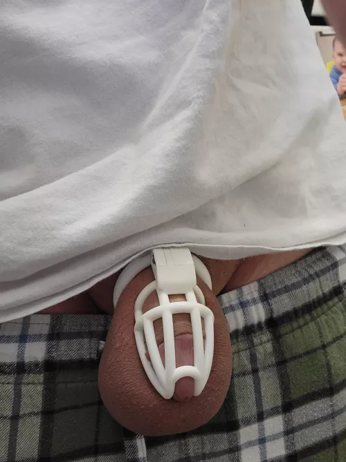 My Cherry Keeper has become my favorite cage