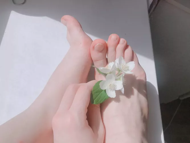 My feet now smell like this flower🌺