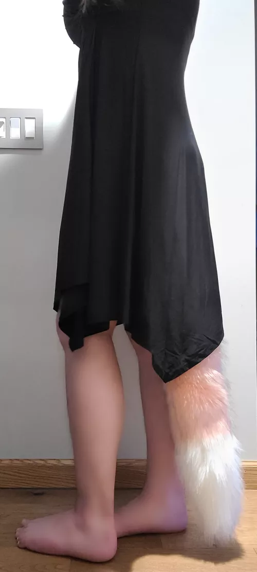 My New Tail Looks Great With My New Dress