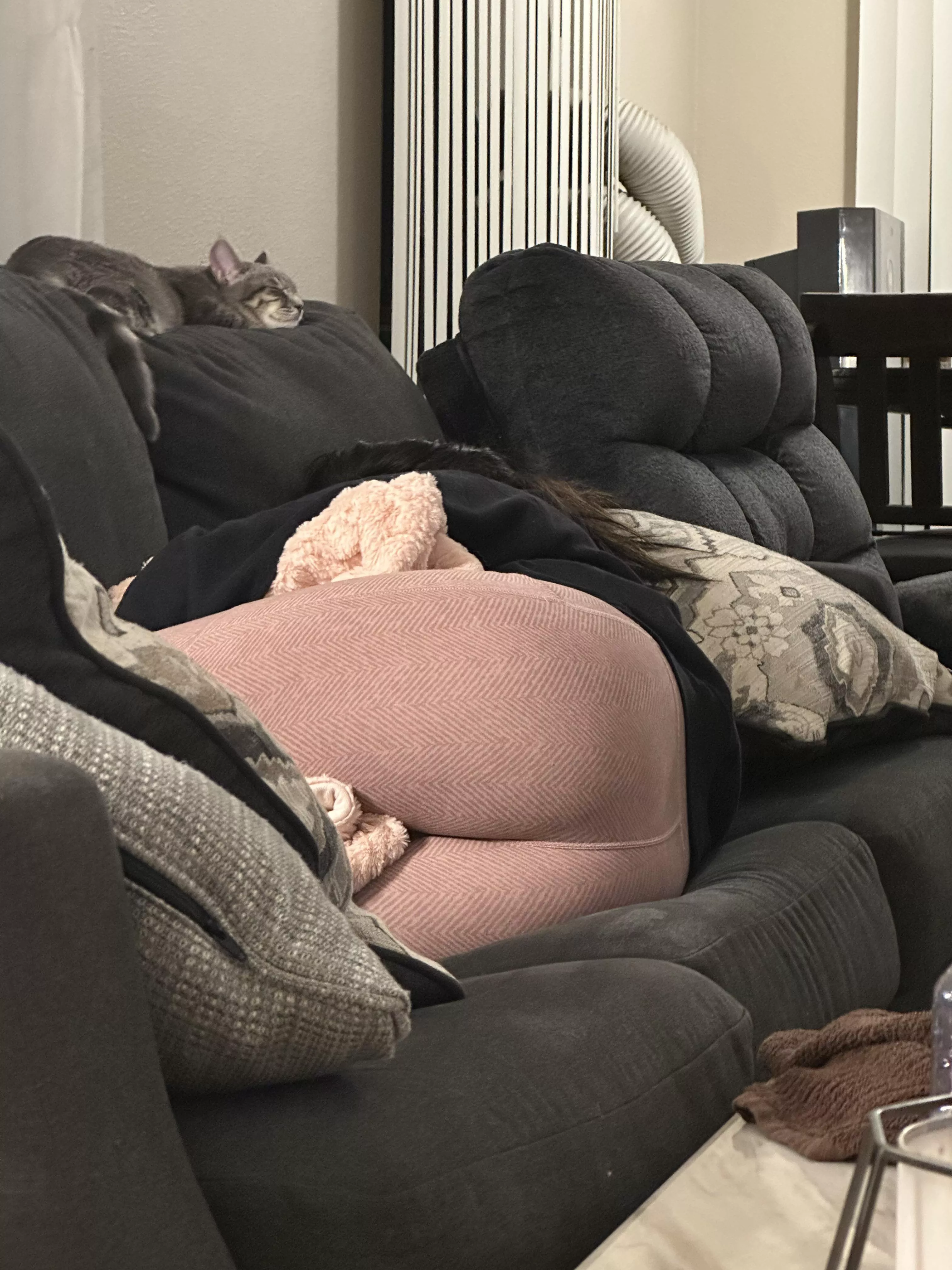 My wife’s ass, who wants a piece