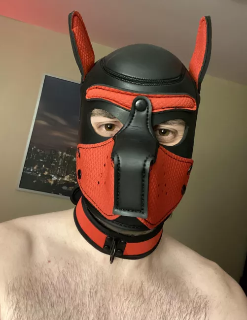 New pup looking to make friends and explore 🐶🐾