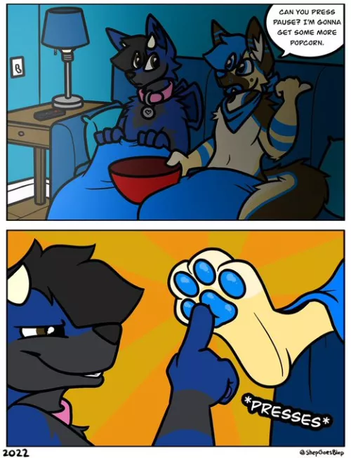 pawse (shepgoesblep)