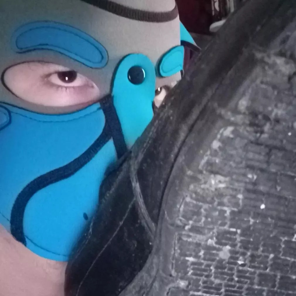 Puppy sniffs stinky shoes