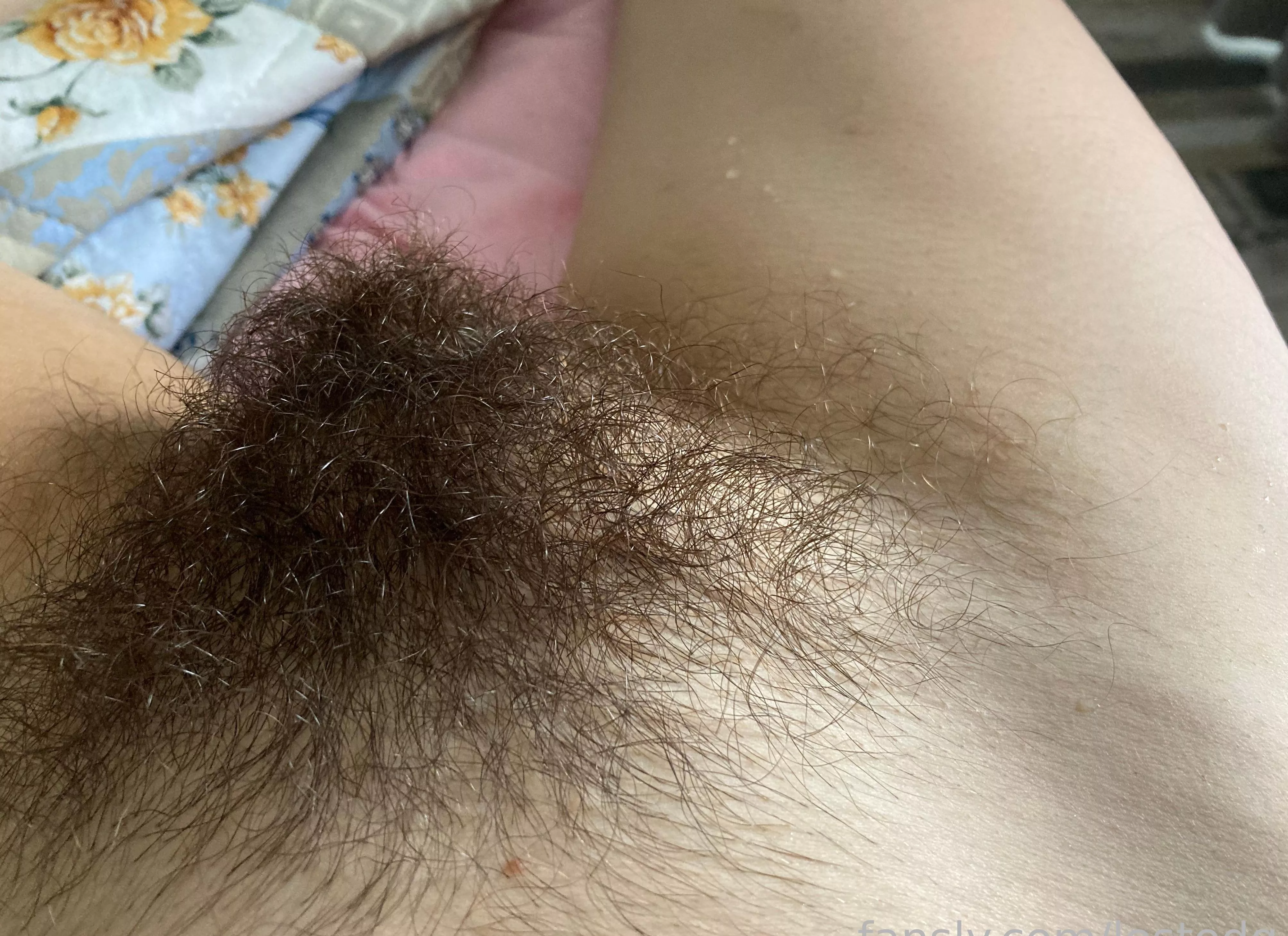 Run your fingers through my huge soft bush