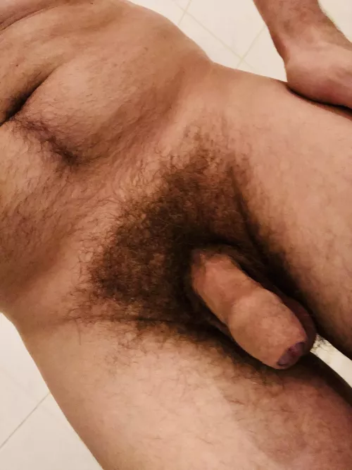 Showing my splendid bush