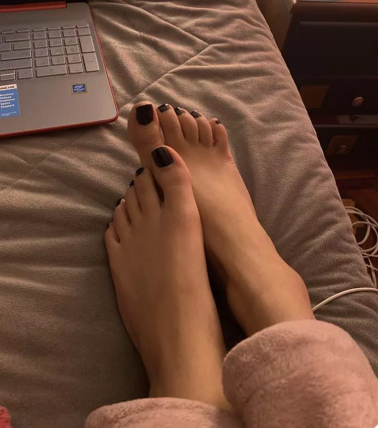 they’re cute aren’t they?