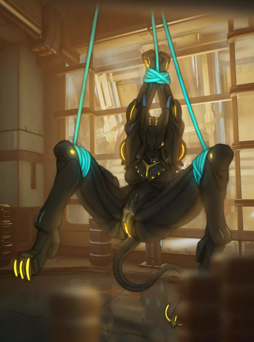 Valkyr all tied up and used