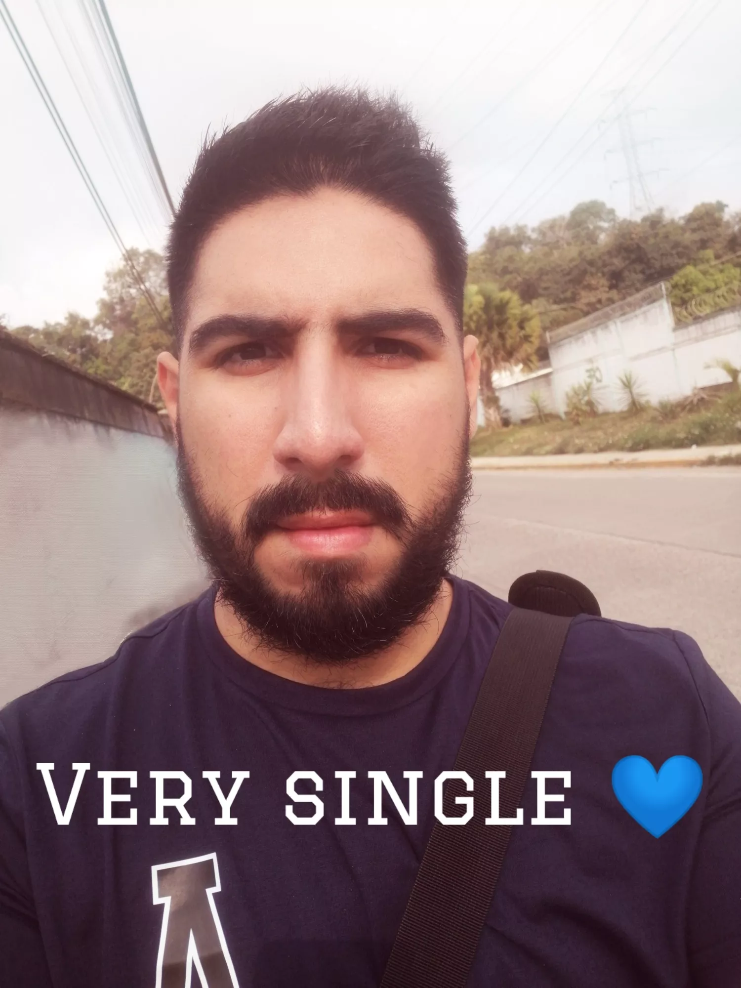 30M READ BEFORE ADDING hairy fit nice man looking for only romance or relationship with a fit masc hairy man with blue or green eyes hit me up MOONBEARX30