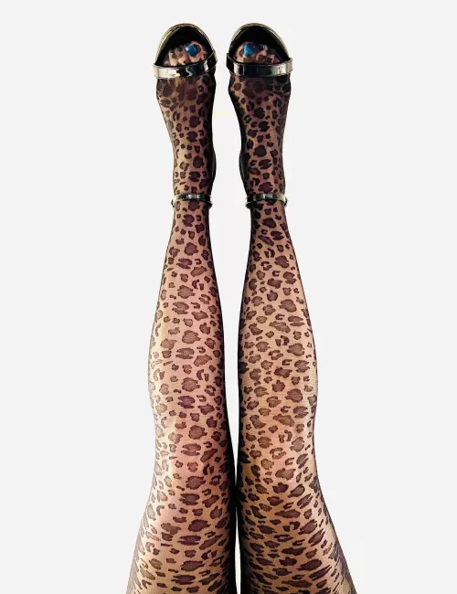 A Leopard Never Changes It’s Spots.