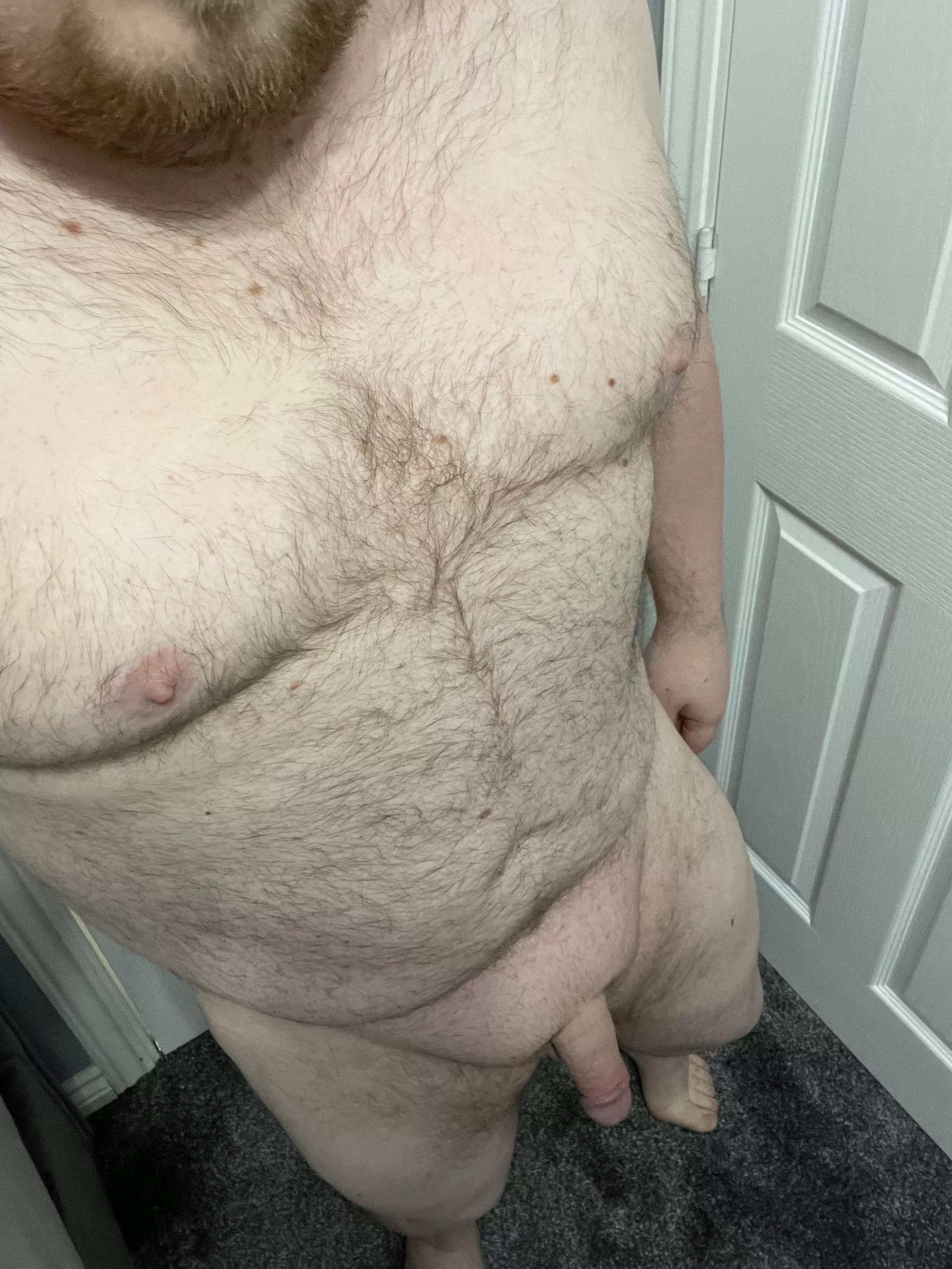 Am I the right kind of chubby for you all?